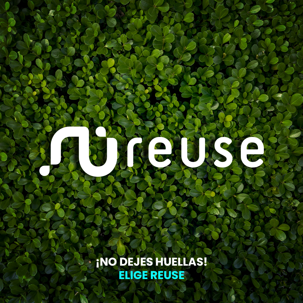 Motorola Moto E13 64GB Verde Open Box