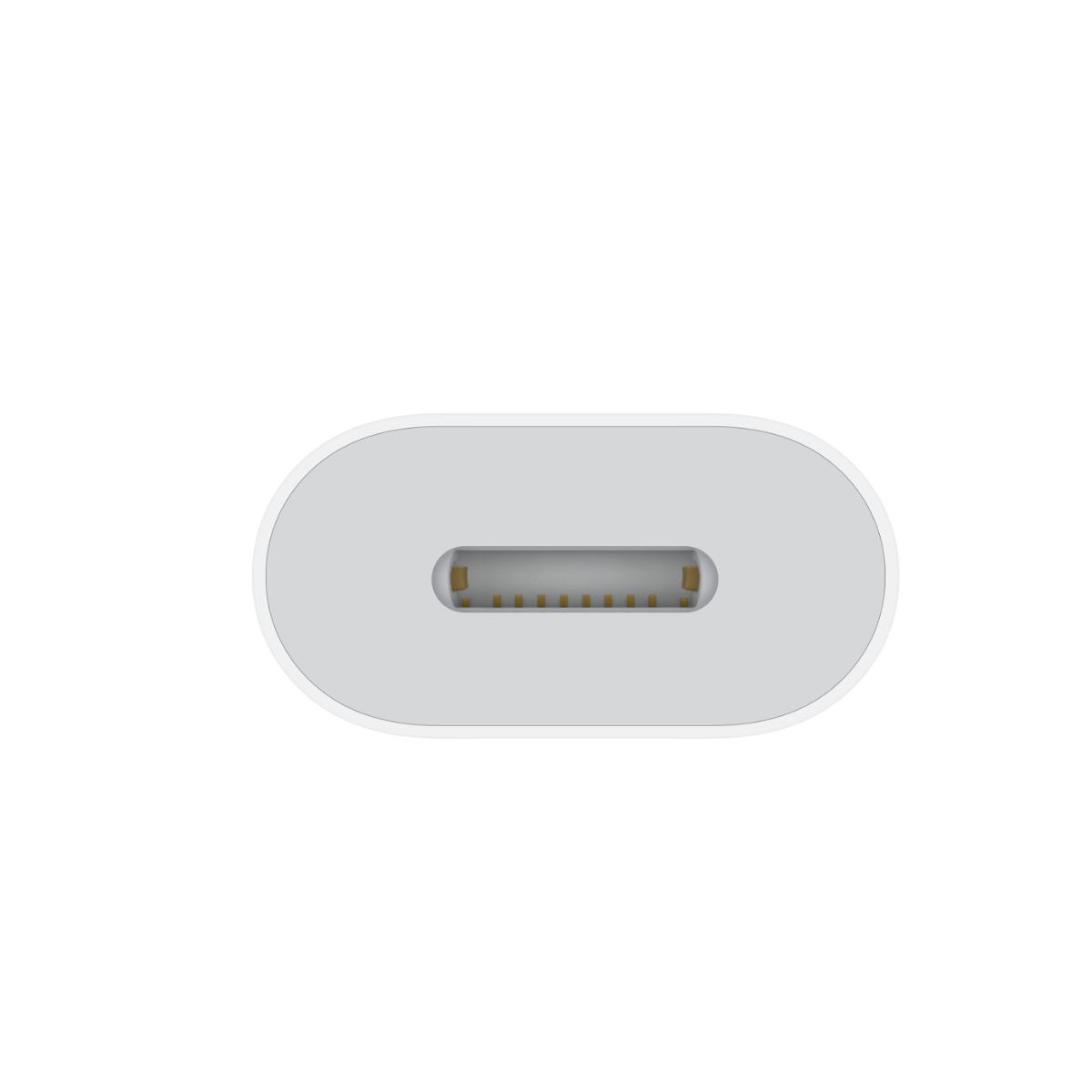 Adaptador Apple de USB - C a Lightning Openbox - Reuse Chile