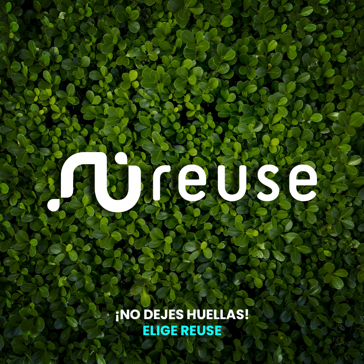 AudÃfonos Huawei Freebuds SE Blanco Openbox - Reuse Chile