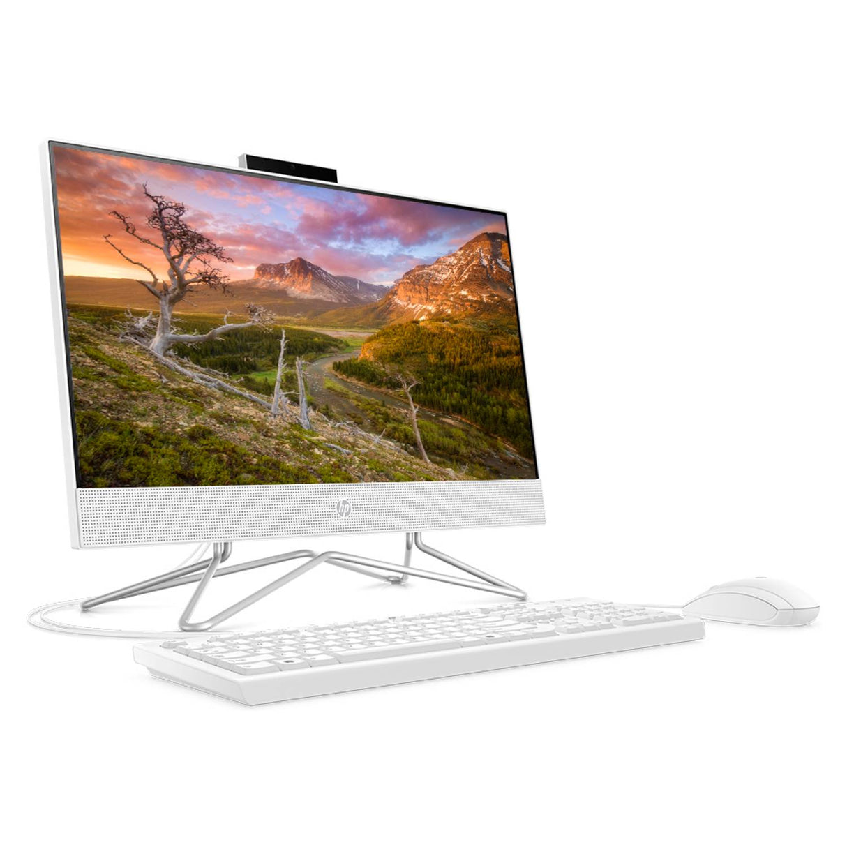 All in One HP Intel Pentium 21,5" J5040 8GB RAM 256 GB SSD Openbox