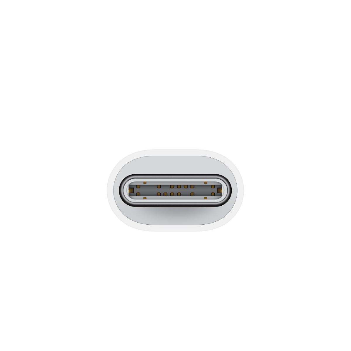 Adaptador Apple de USB - C a Lightning Openbox - Reuse Chile