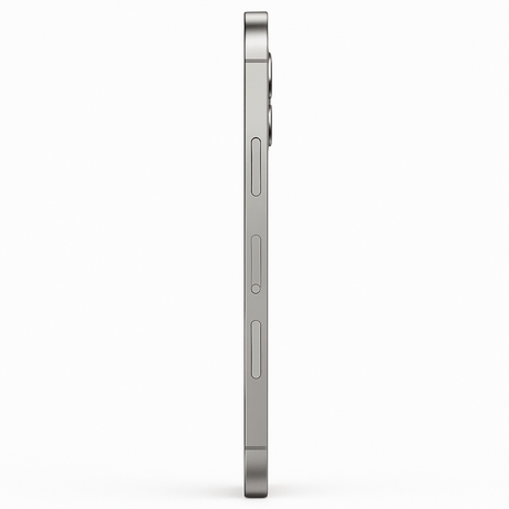 Apple iPhone 12 Pro Max 256GB Plata Reacondicionado - Reuse Chile